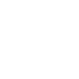 icon linking to our instagram page